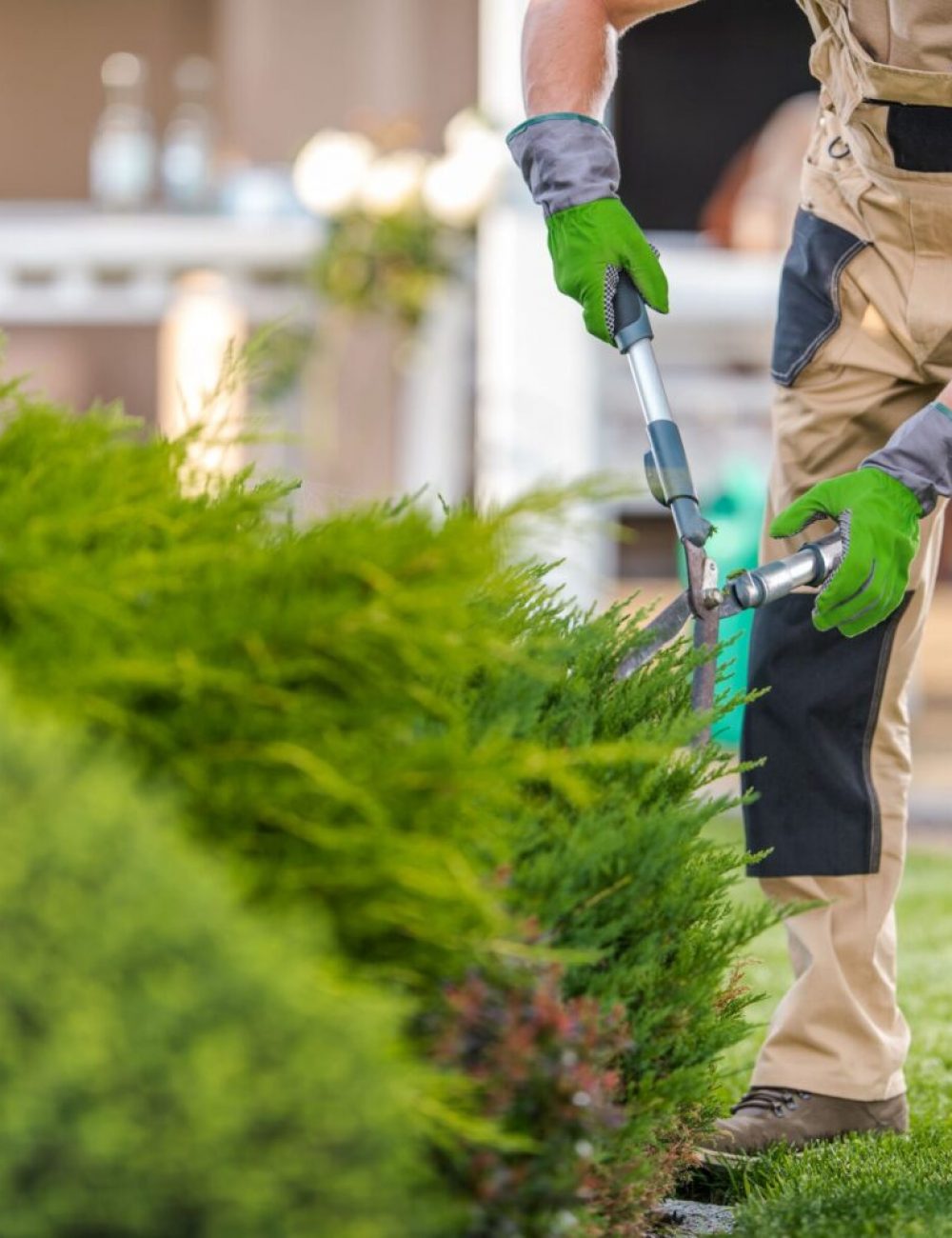 landscaper-trimming-bushes-on-a-sunny-day-2026-03-24-09-02-56-utc